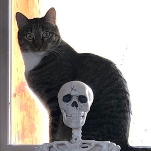 Meet your Posher, Kay